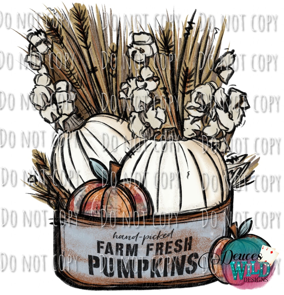 Farm Fresh Pumpkins Design