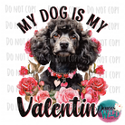 My Dog Is My Valentine (Poodle) Design