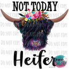 Not Today Heifer Color Design
